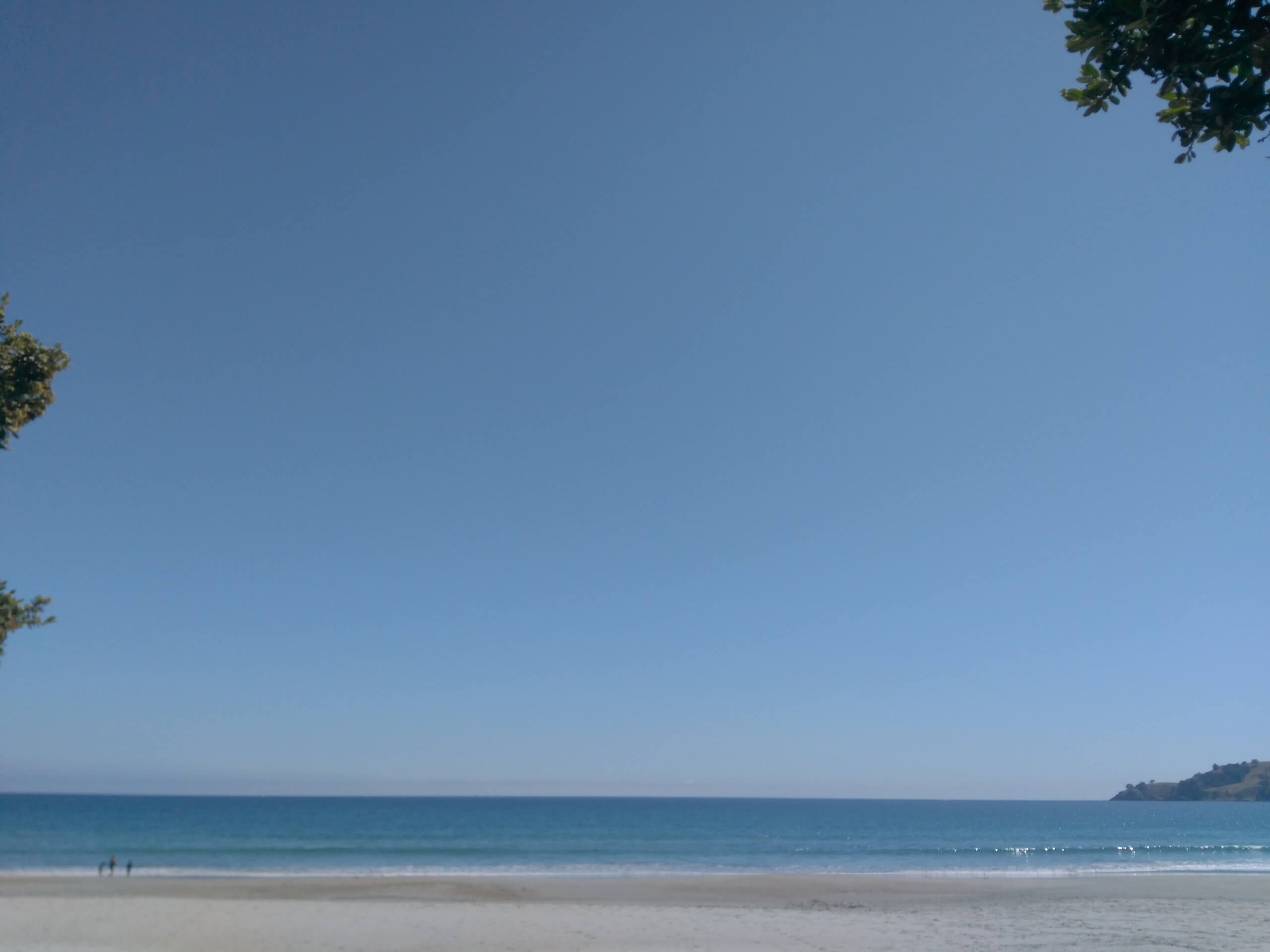 A beach in New Zealand.